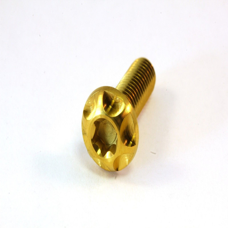 Titanium screws Pan head Torx gold black blue