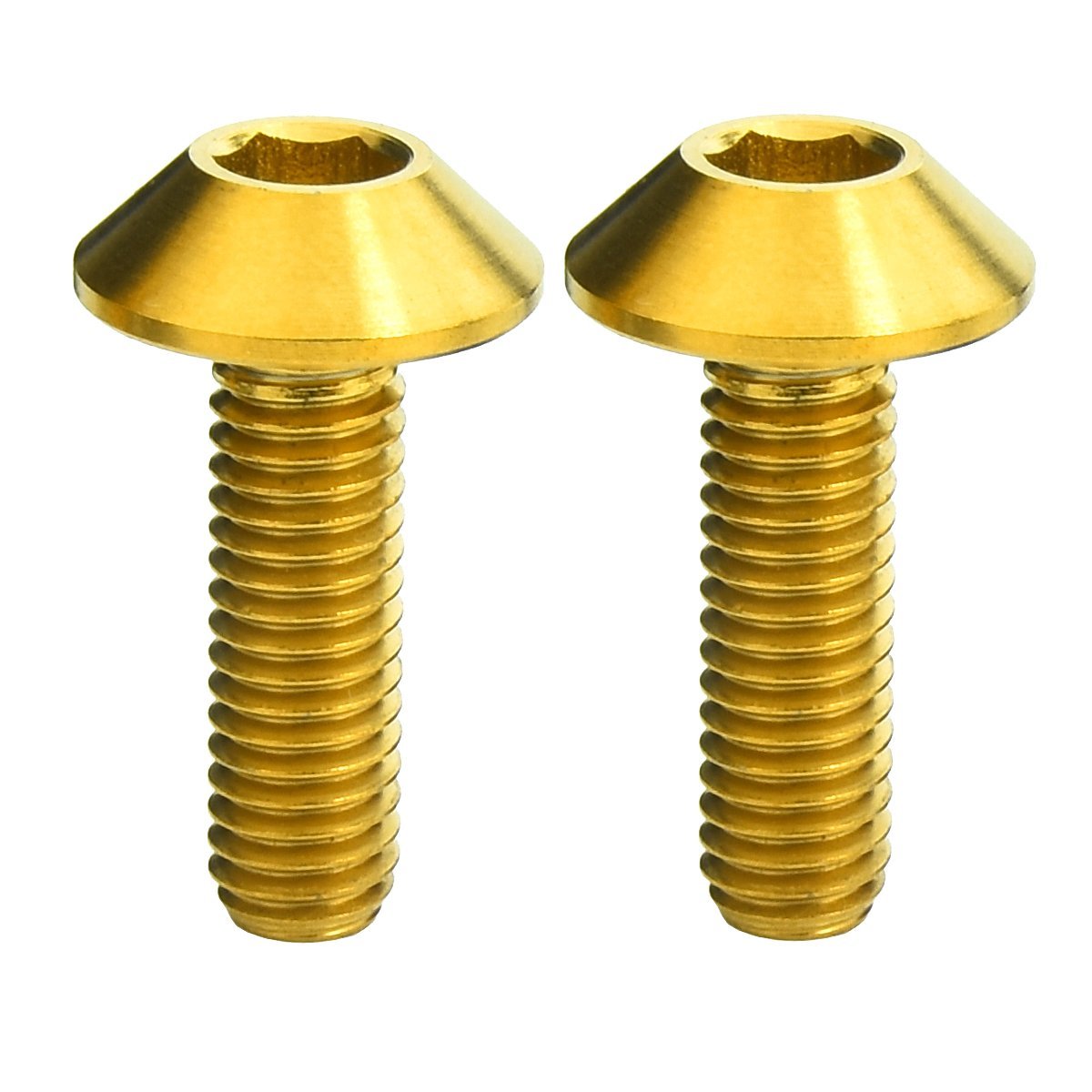 Titanium Allen Hex Button Socket Cap Head Bolts Screw M6x20mm