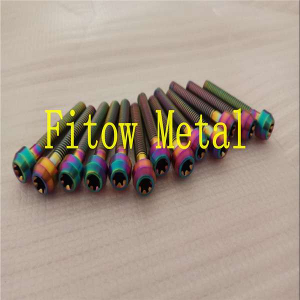 M6*35mm TC4 Gr5 BT6 Gr5 (Ti6Al4V) Ti Alloy torx bolt M6