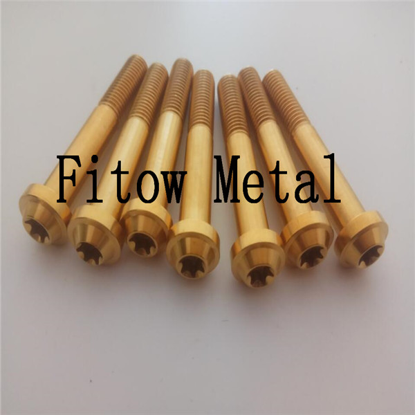 GR5 Nitrided Titanium Screw Bolt M10*65mm