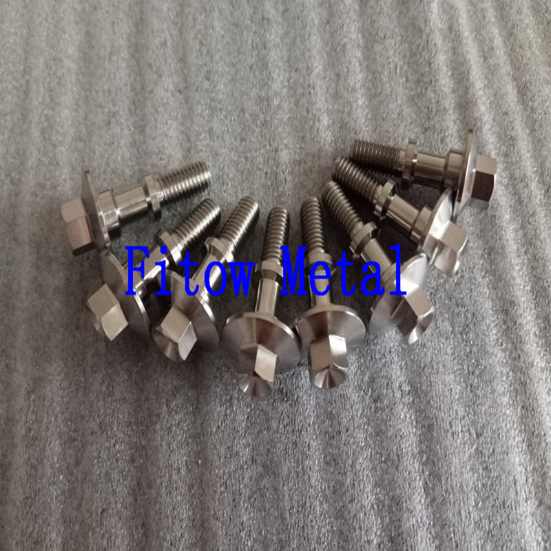 Customized Titanium Alloy Special Head Bolts