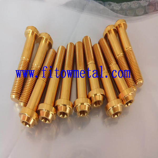  titanium torx screws  PVD Golden Color Bolt M10*55