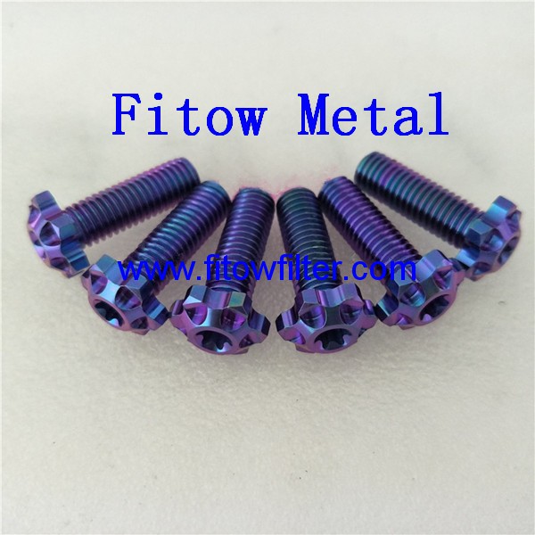 Purple color Gr5 titanium custom milling head bolts M8x20