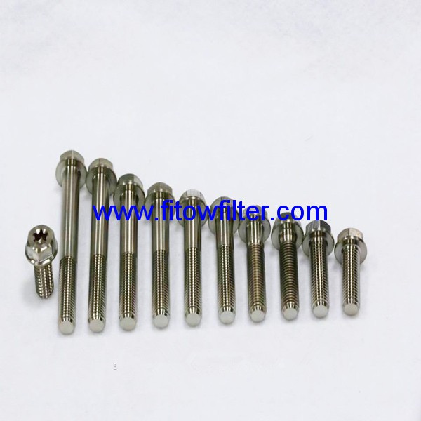 Ti6Al4V Titanium torx Flange Head  Bolt M10x10/20/30/40/50/60/75mm