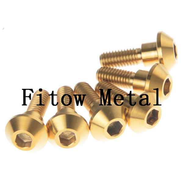 GR5 Titanium Motor Brake Rotor Bolt Screw Titanium bolts 