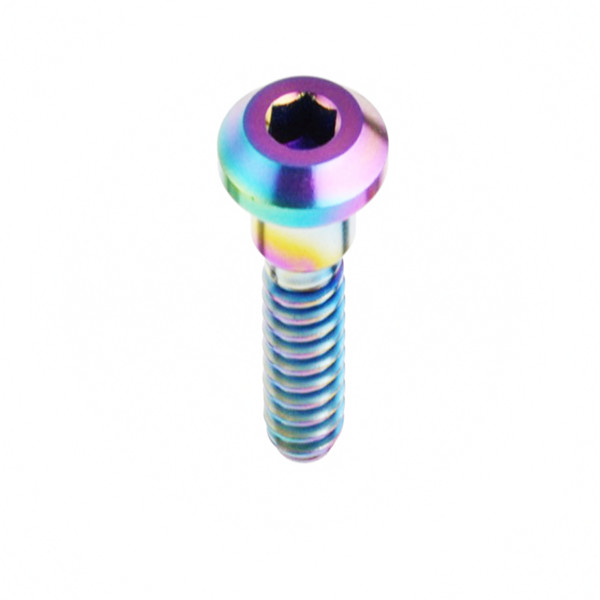 Titanium Ti Motor Bike Brake Rotor Bolt Bike Screw M8*22