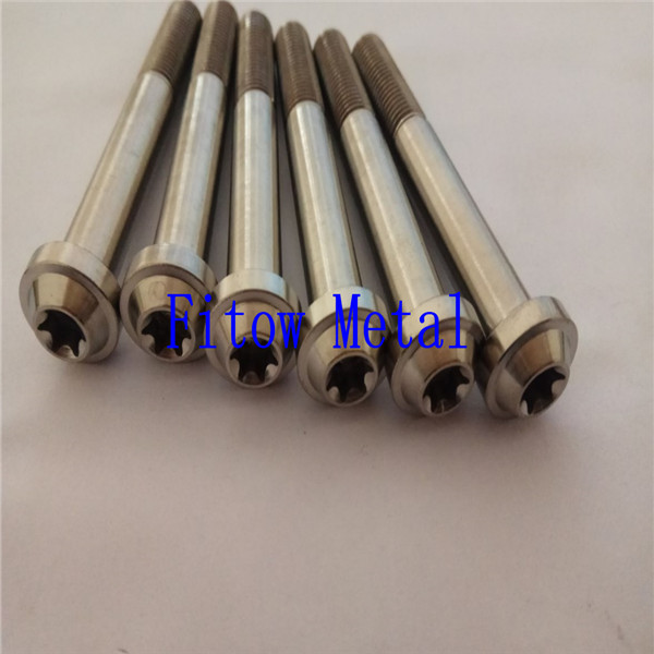 Motorcycle Modify Ti Bolt Titanium Torx Bolts M10*74 