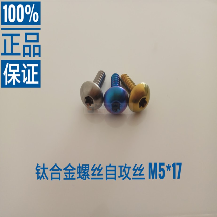 M5*17 Titanium Cnc Machined Self Tapping Screw Ti6al4v 