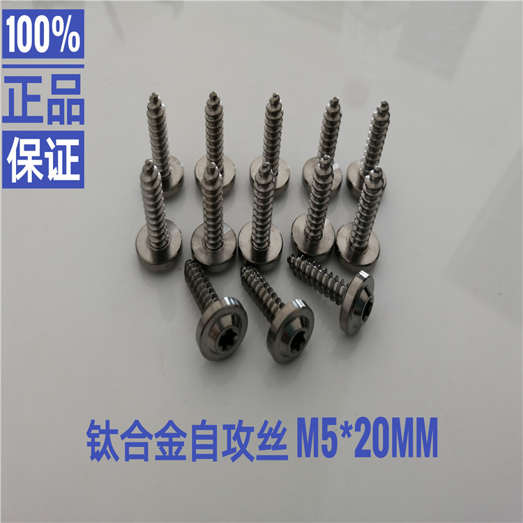 M5*20 Titanium Cnc Machined Self Tapping Screw Ti6al4v 