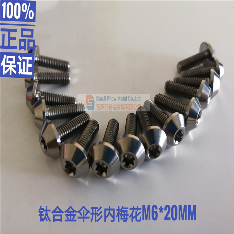 Grade 5 Titanium Dome Head Bolt M6 x 20mm 